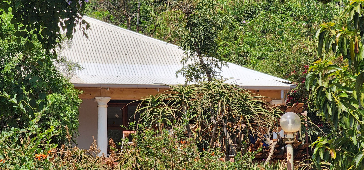 479 Berea Street (Refurbishment)