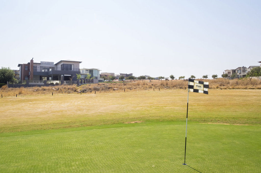 House Swan (Eye Of Africa)