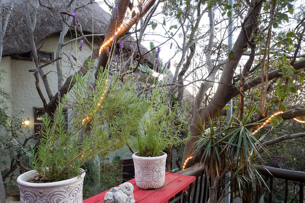 Wapadrand Mountain Sanctuary (Refurbishment)