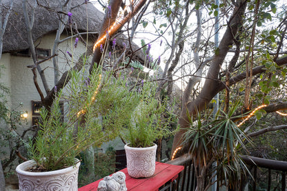 Wapadrand Mountain Sanctuary (Refurbishment)